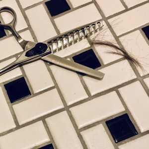 chunky barber shears